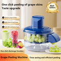 Electric Peeler - Electric Garlic Peeler Machine