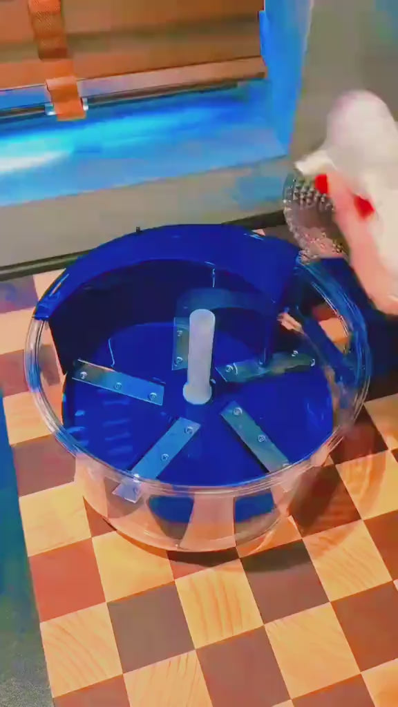 Electric Peeler - Electric Garlic Peeler Machine